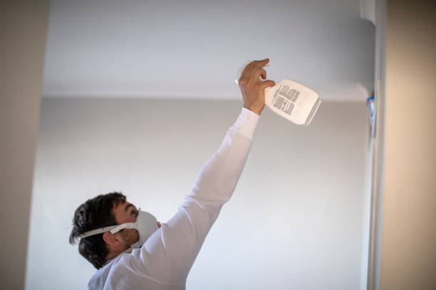 Best Professional Mold Removal  in Lake Katrine, NY